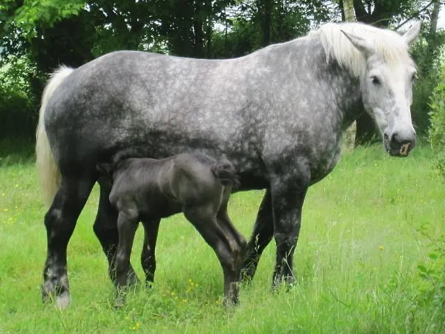Relais Du Doulay بيت للعطل
