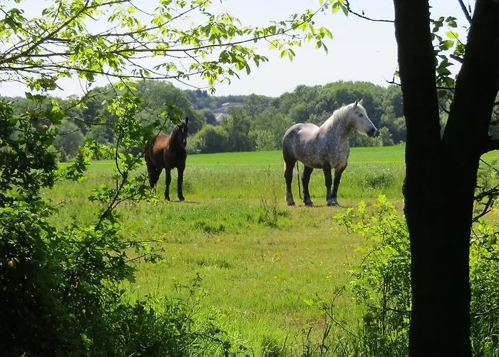 بيت للعطل Relais Du Doulay